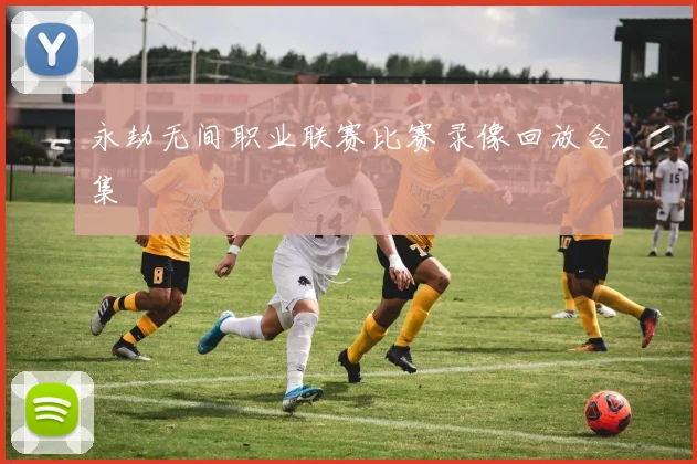 永劫无间职业联赛比赛录像回放合集
