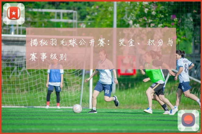 揭秘羽毛球公开赛：奖金、积分与赛事级别