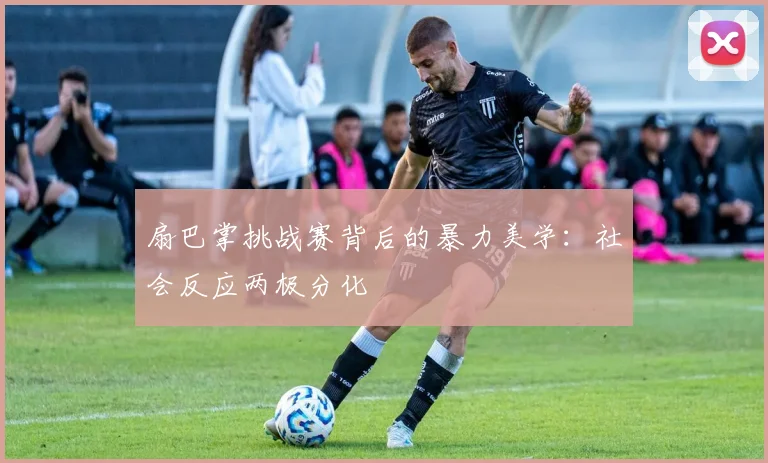 扇巴掌挑战赛背后的暴力美学：社会反应两极分化