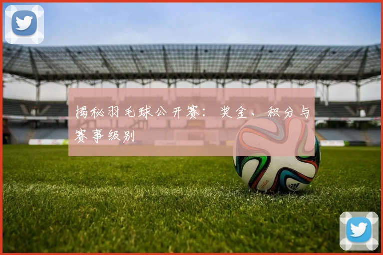 揭秘羽毛球公开赛：奖金、积分与赛事级别