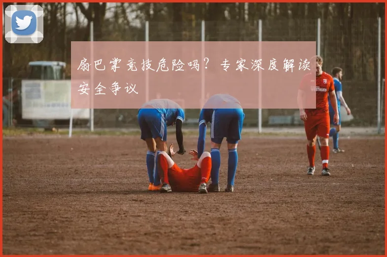 扇巴掌竞技危险吗？专家深度解读安全争议