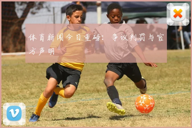 体育新闻今日重磅：争议判罚与官方声明